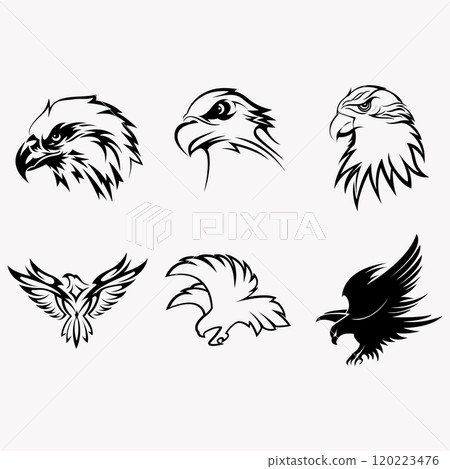 collection of eagle logos 120223476