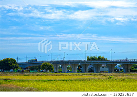 芳賀/宇都宮輕軌燈光線和田園風光 120223637