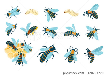 Cartoon bees insects. Cute flying striped bug, funny buzzing wasp and honeybee, cheerful small winged insect with stings. Vector isolated set Cartoon bees insects. Cute flying striped bug, funny buzzing wasp and honeybee, cheerful small winged insect with stings. Vector isolated set 120223770