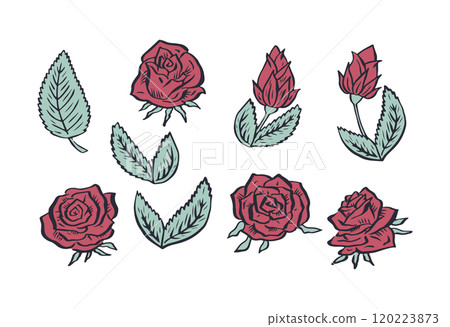 Hand drawn red rose flowers and leaves outlines set isolated on white background 120223873