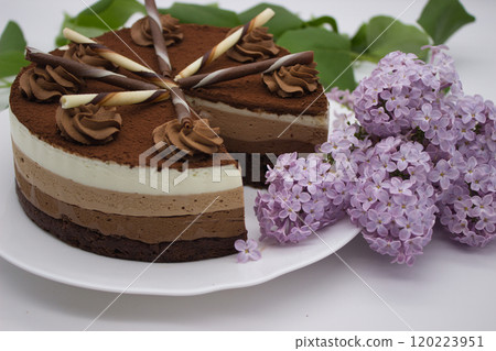 Chocolate Layer Cake with Lilac Decor 120223951