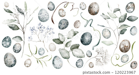 Watercolor Easter clip art with eucalyptus leaves and quail eggs drawing on isolated background. Hand drawn clipart branches plants. Botanical greenery holiday elements foliage for icon or logo. 120223967