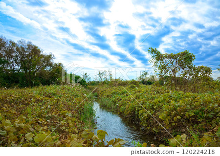 鬼怒川河床和藍天芳賀/宇都宮輕軌 120224218