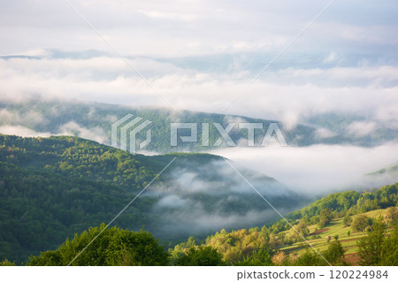 mountainous countryside landscape on a foggy morning. beautiful place. carpathian mountains in spring season. sunny weather. rural fields among forested hill. ukraine highlands view from above 120224984