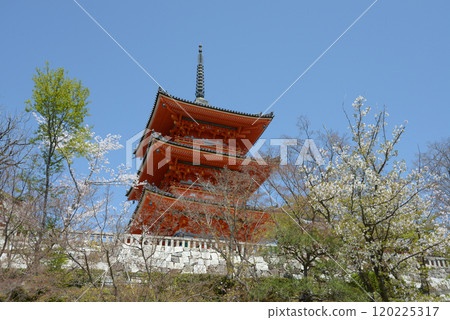 Spring Kiyomizudera Mie Tower, Higashiyama Ward, Kyoto City Spring Kiyomizudera Mie Tower, Higashiyama Ward, Kyoto City 120225317