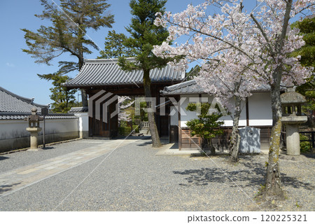 Spring at Kiyomizu-dera Temple, Kitasomon Gate, Higashiyama Ward, Kyoto City 120225321