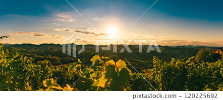 Vineyards along the South Styrian Wine Road in Summer, Austria Europe. Vineyards along the South Styrian Wine Road in Summer, Austria Europe. 120225692