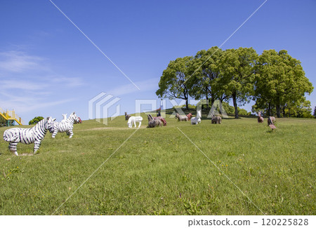海南兒童郊野公園 120225828