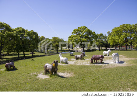 海南兒童郊野公園 120225829
