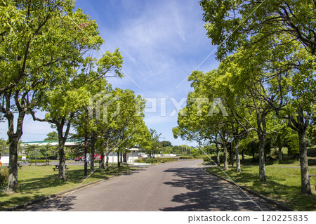 海南兒童郊野公園 120225835