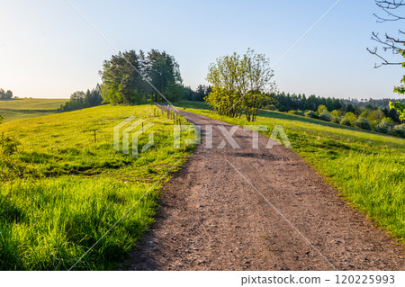A peaceful rural country road winds through lush green fields and trees, creating a tranquil atmosphere. The clear blue sky adds to the natural beauty of this serene landscape. 120225993