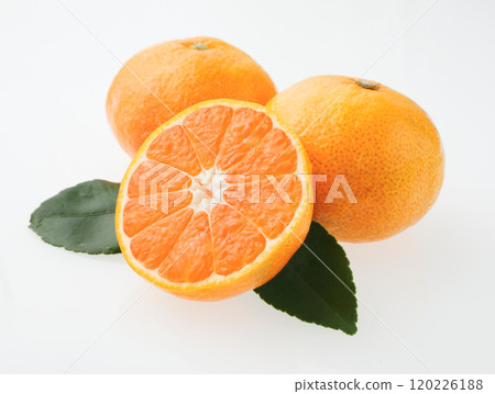 Mandarin oranges studio photography 120226188