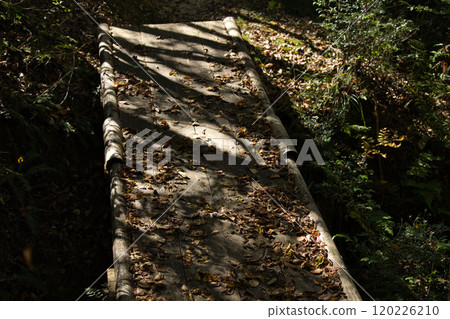 Falling leaves and shadow patterns on a wooden bridge in the forest 120226210