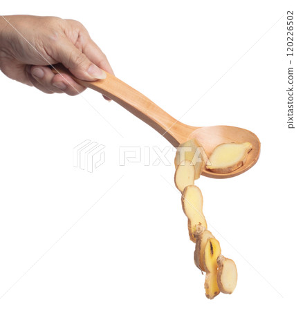 Ginger fall fly in turner, fresh vegetable spice ginger falling. Organic fresh herbal ginger root head cut chop slice, close up texture. White background isolated freeze motion high speed shutter Ginger fall fly in turner, fresh vegetable spice ginger falling. Organic fresh herbal ginger root head cut chop slice, close up texture. White background isolated freeze motion high speed shutter 120226502
