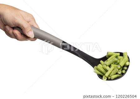 Chopped Long yard bean fly fall in turner, Cut green long beans for food cooking float in air. Raw slice long yard bean throw in mid air as food material. White background isolated high speed freeze 120226504