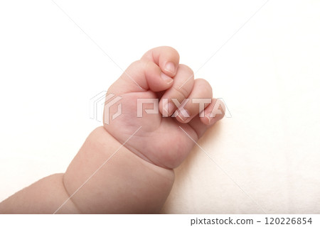 Baby's clasped left hand Baby's clasped left hand 120226854