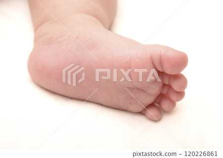Baby's left foot Baby's left foot 120226861