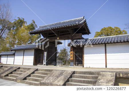 Daianji Temple South Gate 120226877
