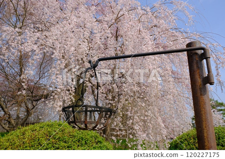 圓山公園的加護籃 120227175
