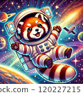 空間 宇宙的 大波斯菊 120227215