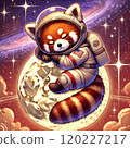 空間 宇宙的 大波斯菊 120227217