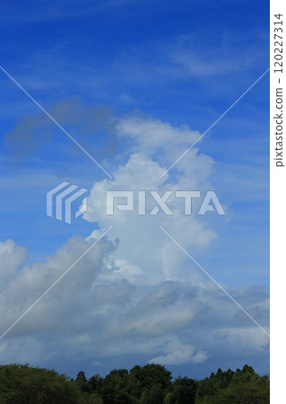 Summer blue sky and white clouds Summer blue sky and white clouds 120227314