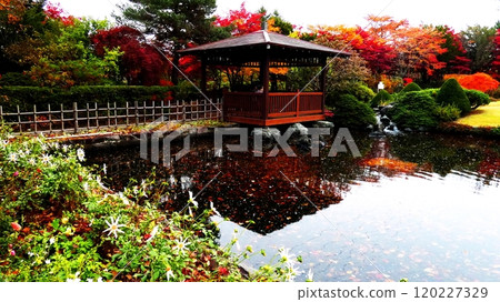 平岡樹枝狀中心的Nomuramo Mizi 平岡樹枝狀中心的Nomuramo Mizi 120227329