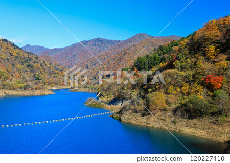 秋天的奧島湖和稻保山 120227410
