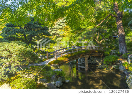 Autumn in Kyoto Imperial Palace: Pond Garden and Keyaki Bridge 120227486