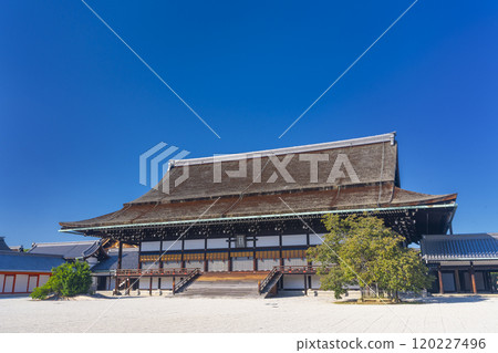 秋天的京都皇宮，紫神殿在藍天的襯托下閃閃發光 120227496