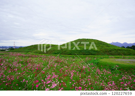7304 Futagoyama Tomb 120227659
