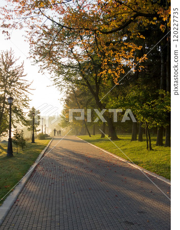 Walkway in the park in the summer Walkway in the park in the summer 120227735