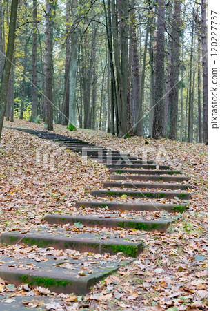 staircase is understood uphill in autumn park staircase is understood uphill in autumn park 120227737
