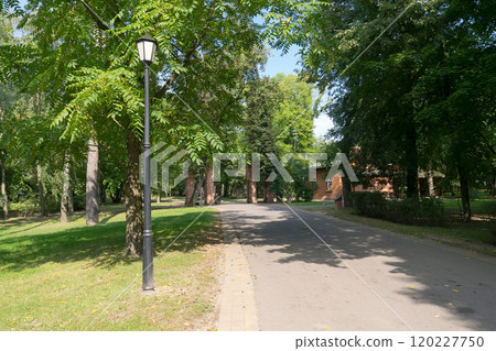 Walkway and lamp in the park in the summer Walkway and lamp in the park in the summer 120227750