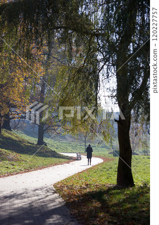 man walks along the path in the park 120227757