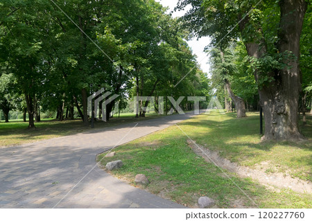 Walkway in the park in the summer Walkway in the park in the summer 120227760