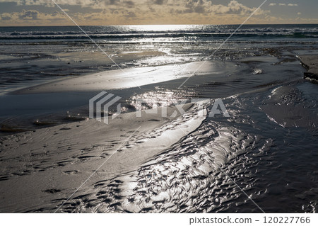 The cape peninsula 120227766