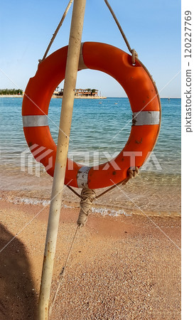 Lifebuoy hanging on the seashore 120227769