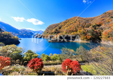 From Inatsume Seseragi Park with autumn leaves to Shimagawa Dam From Inatsume Seseragi Park with autumn leaves to Shimagawa Dam 120227883