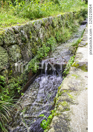 滋賀縣大津市日吉馬場沿岸水道坂本 120228064
