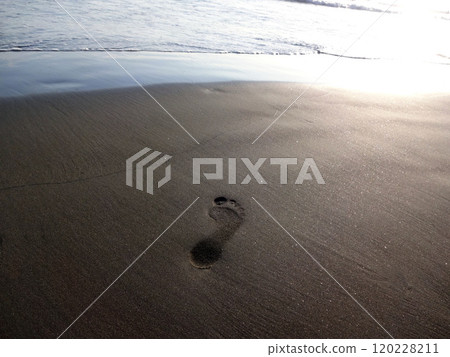 沙灘上的腳印 120228211