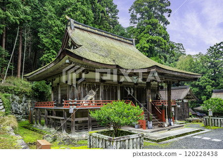 Sakamoto Hiyoshi Taisha Usamiya Main Hall Otsu City, Shiga Prefecture 120228438
