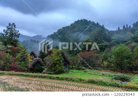 白川鄉紅葉 世界遺產 岐阜縣 2024 120229343