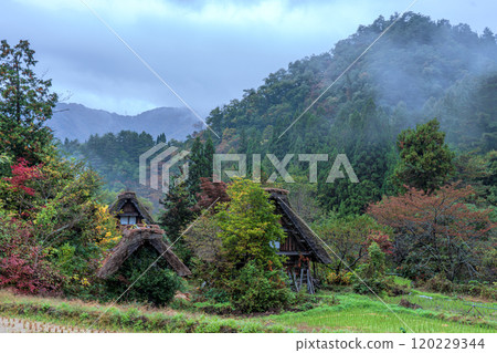 Shirakawa-go Autumn leaves World Heritage Gifu Prefecture 2024 Shirakawa-go Autumn leaves World Heritage Gifu Prefecture 2024 120229344