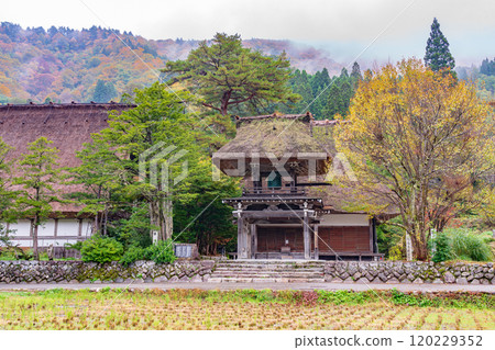 白川鄉紅葉 世界遺產 岐阜縣 2024 120229352
