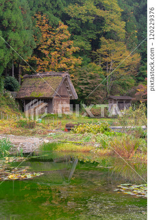 Shirakawa-go Autumn leaves World Heritage Gifu Prefecture 2024 Shirakawa-go Autumn leaves World Heritage Gifu Prefecture 2024 120229376