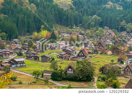 白川鄉紅葉 世界遺產 岐阜縣 2024 白川鄉紅葉 世界遺產 岐阜縣 2024 120229382