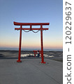 It's like an underwater torii gate!? Ooguo Shrine 120229637