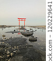Torii gate reflected on the water surface 120229641