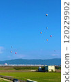 Balloons floating in the blue sky Saga Balloon Fiesta 2024 120229902